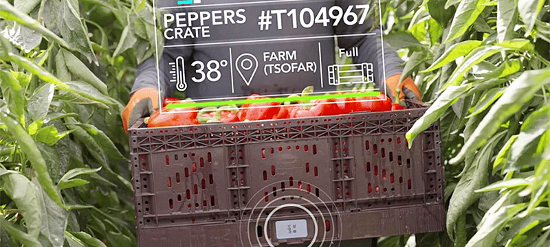 Wiliot Introduces New Ambient IoT Food Safety Initiative to Help the Food Industry Create Safer, More Traceable Supply Chains